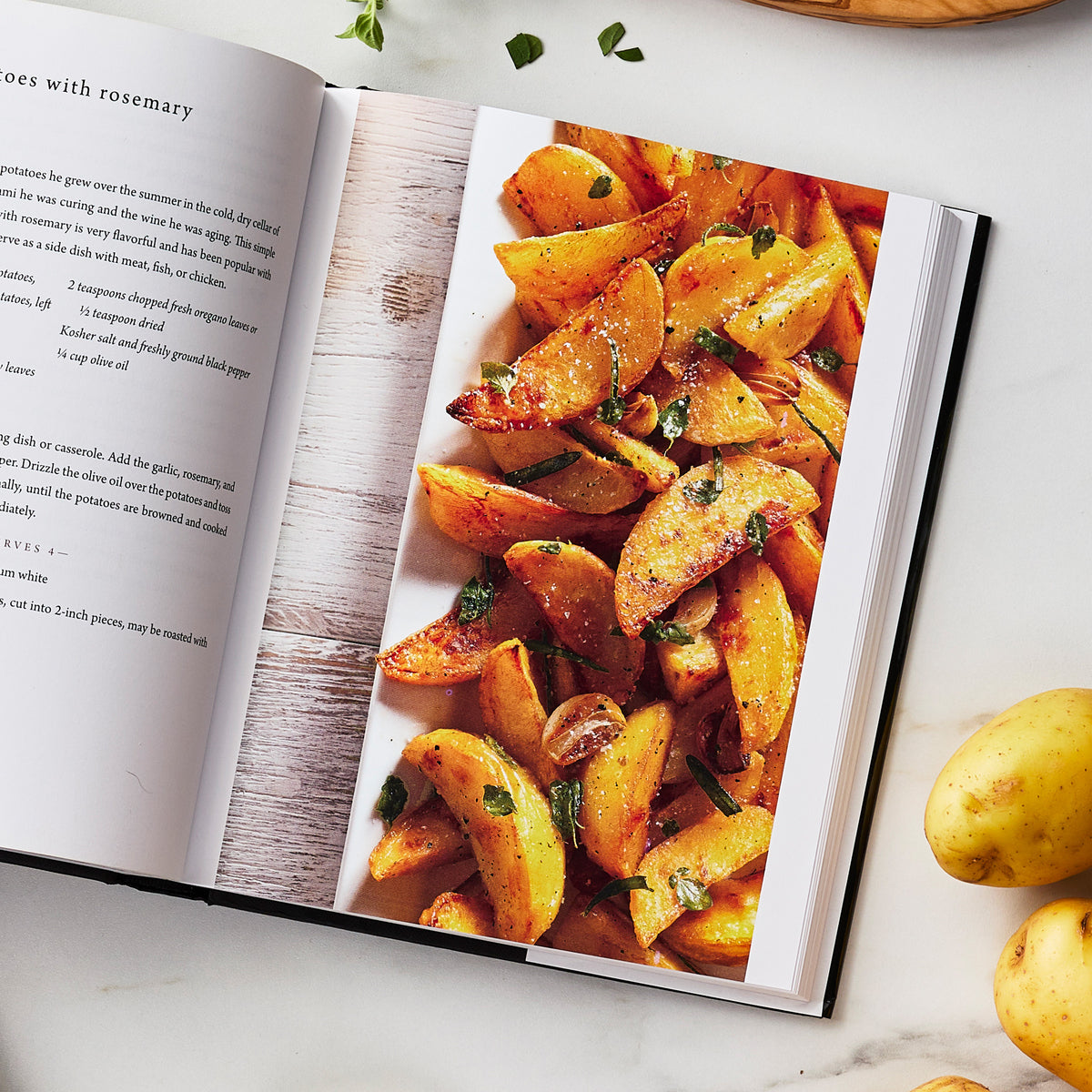 The Tucci Cookbook by Stanley Tucci